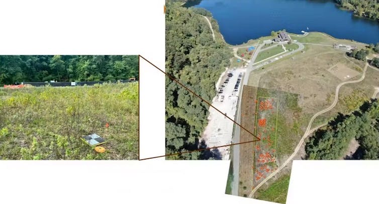 Aerial view of a grassy field with an inset ground-level view of a portion of the field